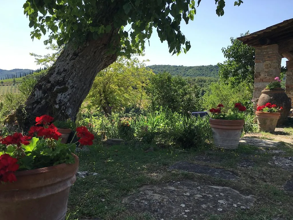 Farm stay Podere Terreno Alla Via Della Volpaia Radda in Chianti