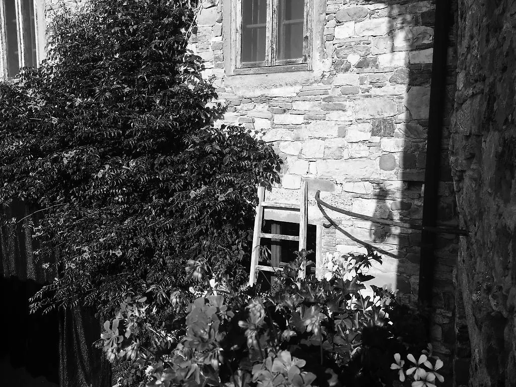 Farm stay Podere Terreno Alla Via Della Volpaia Radda in Chianti