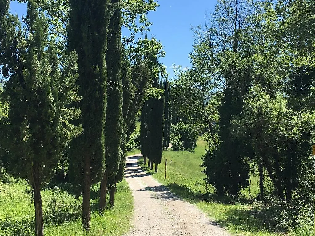 Farm stay Podere Terreno Alla Via Della Volpaia Radda in Chianti Italy