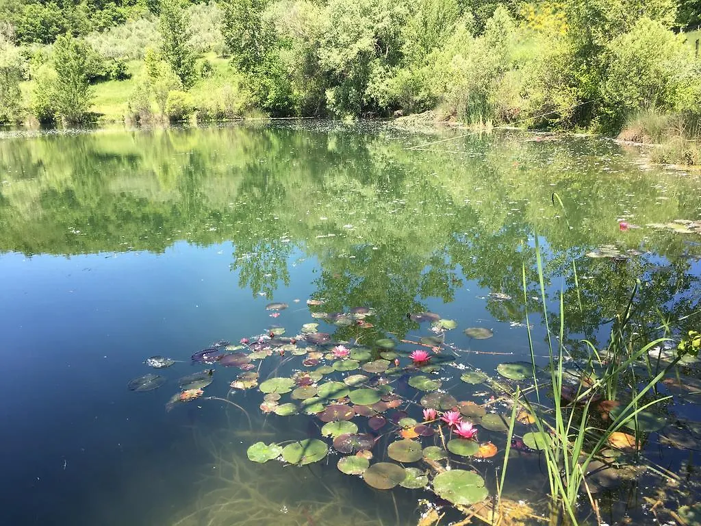 Podere Terreno Alla Via Della Volpaia Radda in Chianti